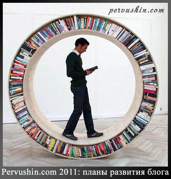 Pervushin.com 2011: плани розвитку блога