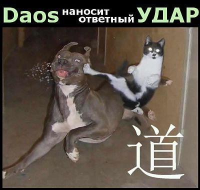 Рекламний движок Daos легким рухом лапи валить накрутчики показів в нокаут ...