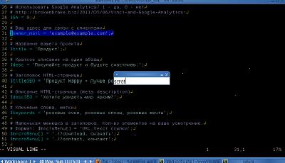 Так виглядає конфіг в редакторі з підсвічуванням (Vim)
