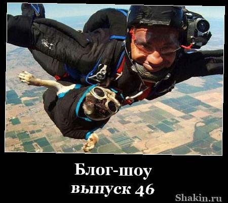 Блог-шоу-випуск 46