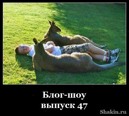Блог-шоу-випуск 47