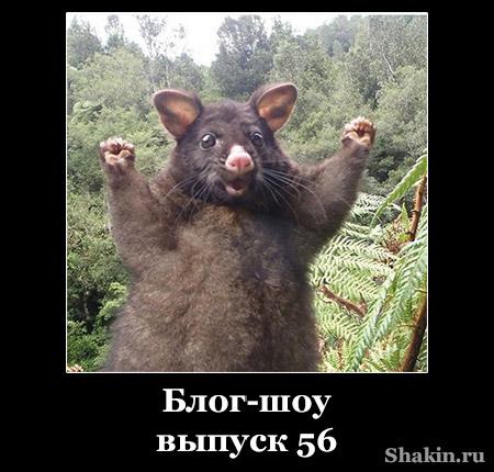 Блог-шоу - выпуск 56