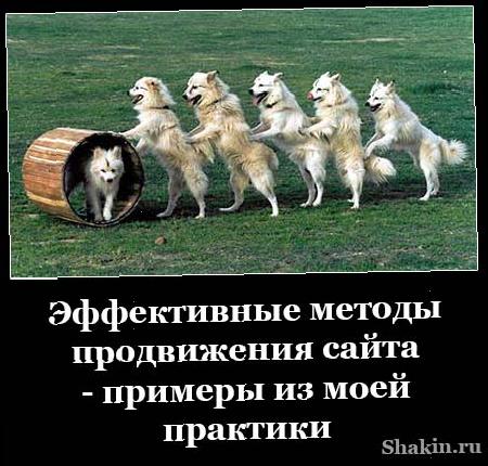 Еффектівние методи просування сайту-приклади з моєї практікі