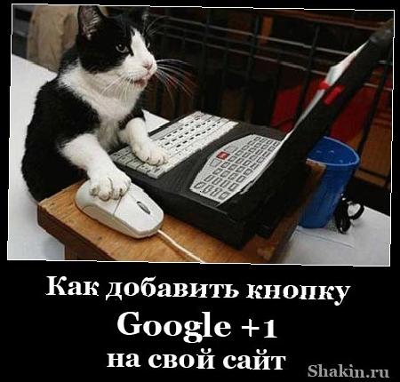 Как додати кнопку Google +1 на свій сайт