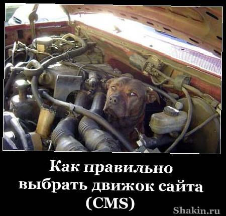 Как правильно вибрати движок сайту (CMS)