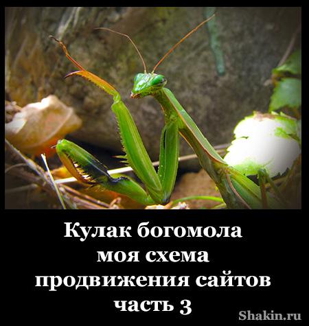 Кулак богомола – моя схема продвижения сайтов. Часть 3