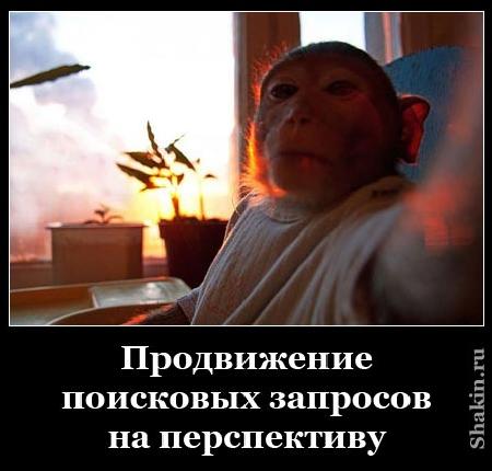 Продвіженіе пошукових запитів на перспектіву