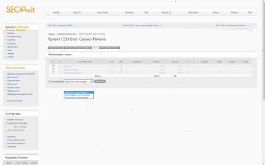 seo-пульт