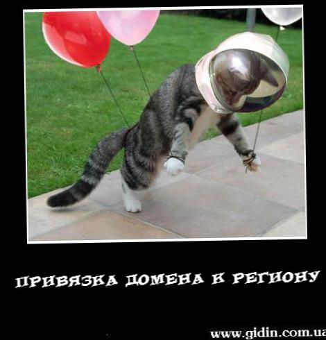 40802853 spacekitty1 Прив'язка домену до регіону