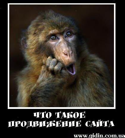 XL Що таке просування сайту