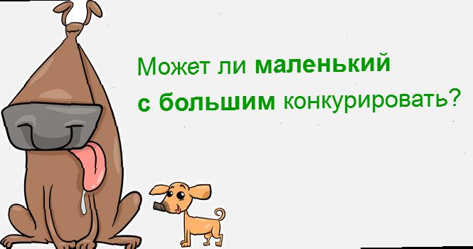 продвижение монобрендового магазина