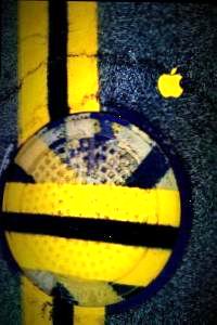 d0b1d0b5d0b7d0b8d0bcd0b5d0bdd0b8-5
